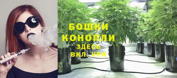 СК Волоколамск